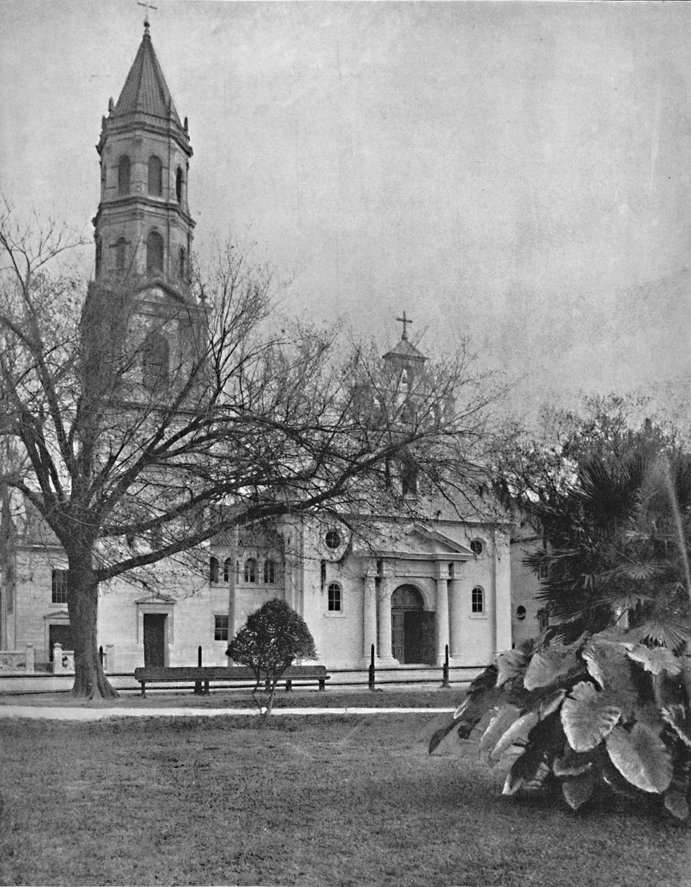 Cathedral of St. Augustine, Florida, c1897. af Unbekannt