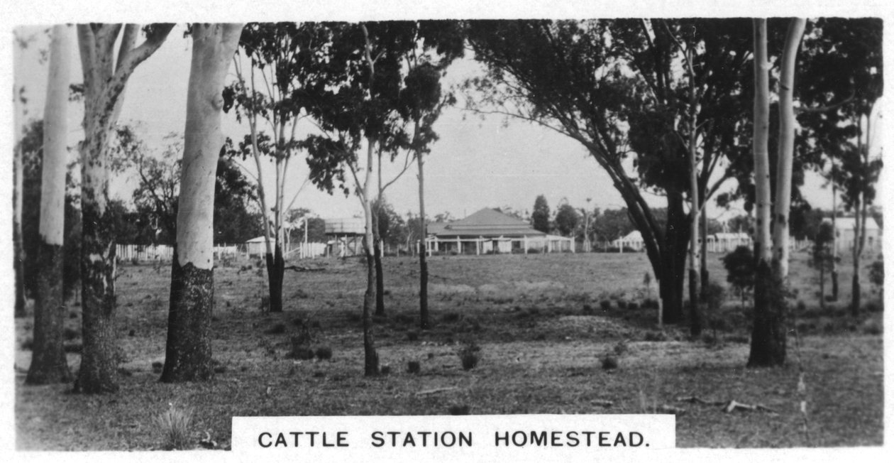 Cattle station homestead, Australien, 1928 af Unbekannt