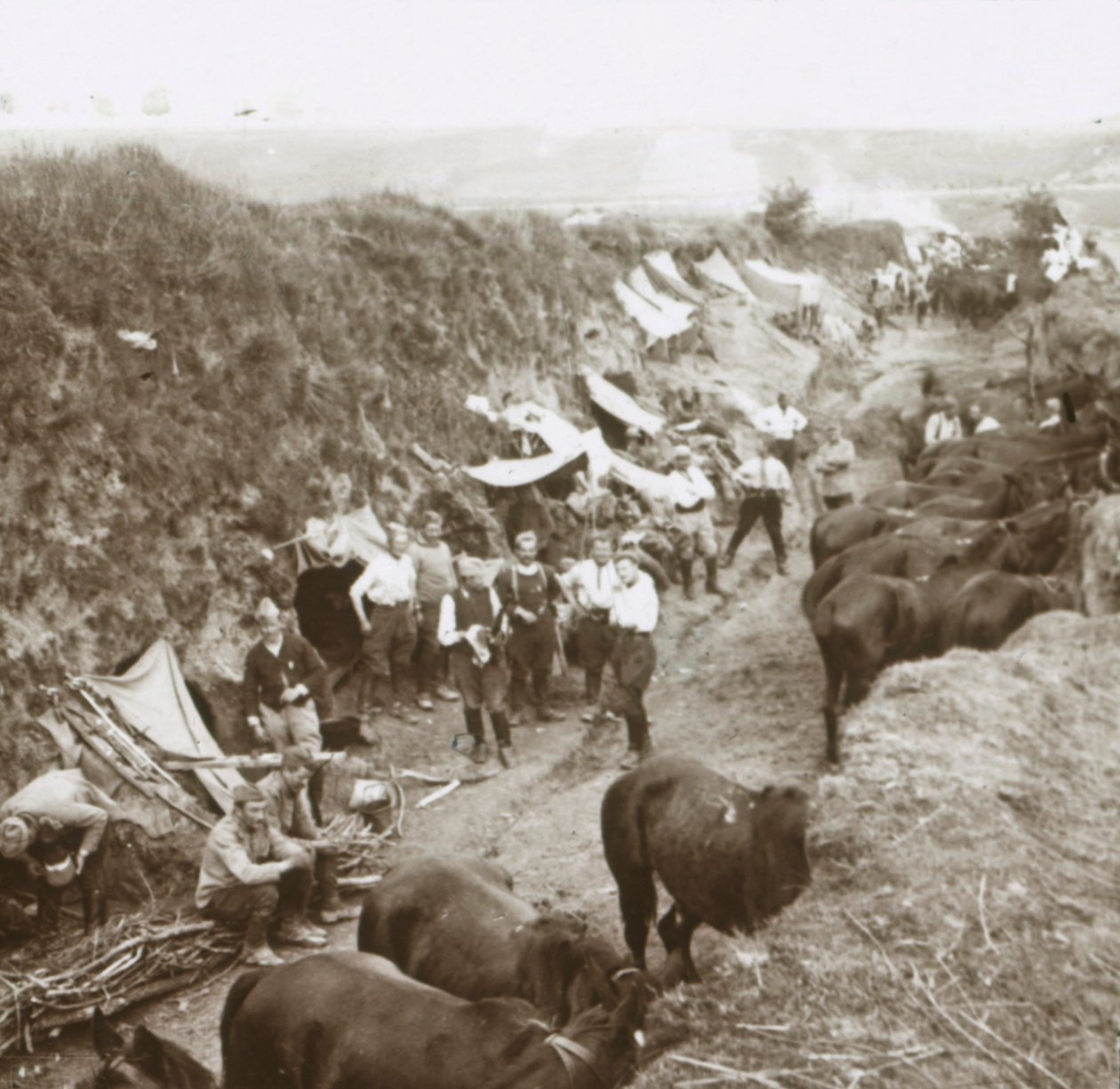 Kavaleri, c1914-c1918 af Unbekannt