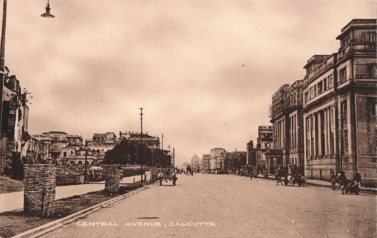 Central Avenue, Calcutta, c1900 af Unbekannt