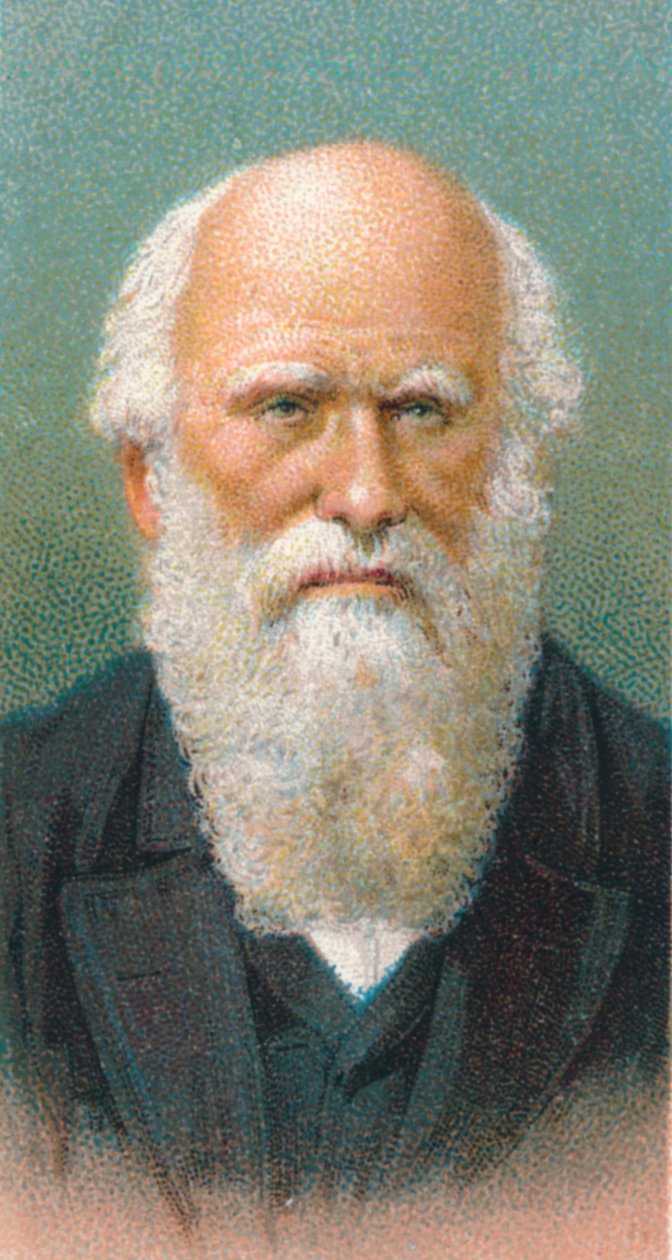 Charles Darwin 1809-1882, britisk naturforsker, 1924 af Unbekannt