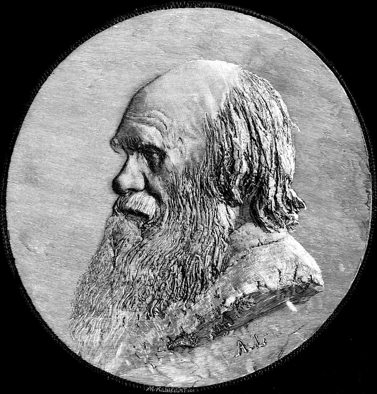 Charles Darwin, 1882 af Unbekannt