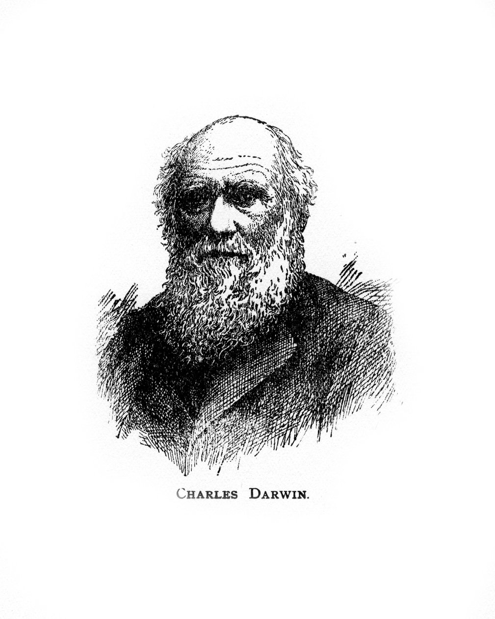 Charles Darwin, britisk naturforsker fra det 19. århundrede, det 20. århundrede af Unbekannt