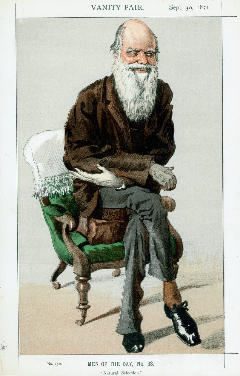 Charles Darwin, engelsk naturforsker, 1871 af Unbekannt