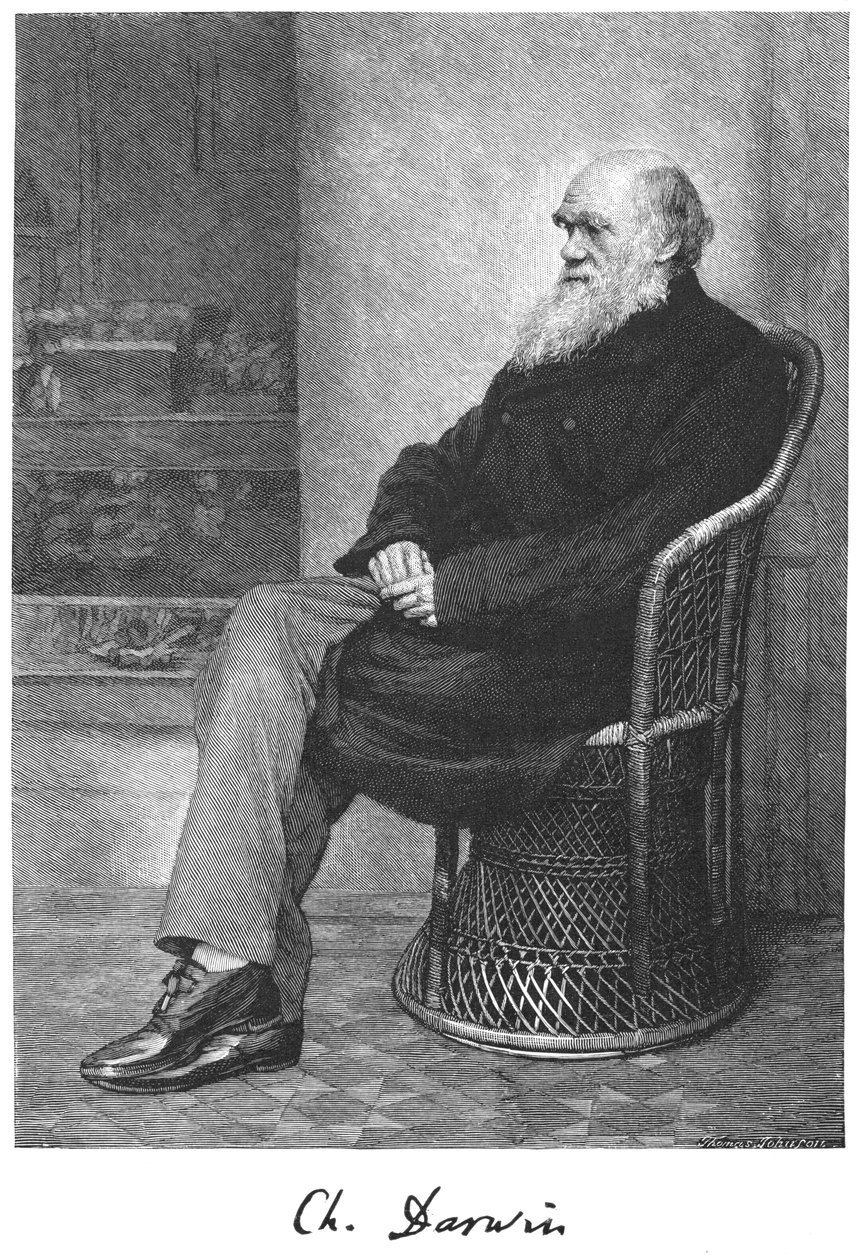 Charles Darwin, engelsk naturforsker, 1883 af Unbekannt