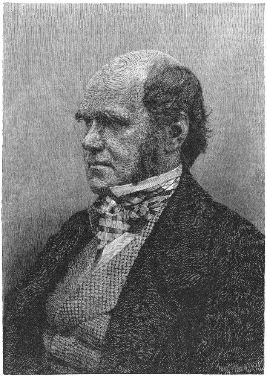 Charles Darwin, engelsk naturforsker, 1884 af Unbekannt