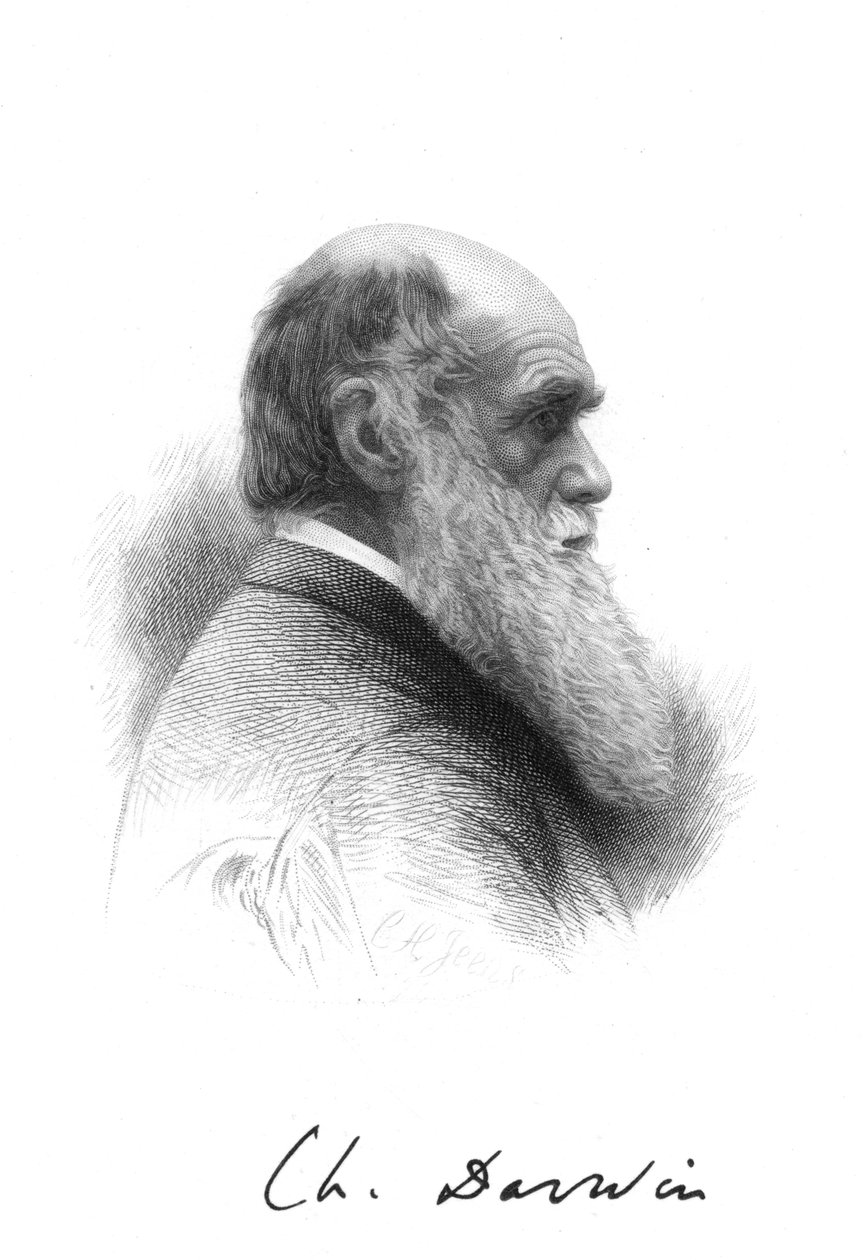 Charles Darwin, engelsk naturforsker, c1880 af Unbekannt
