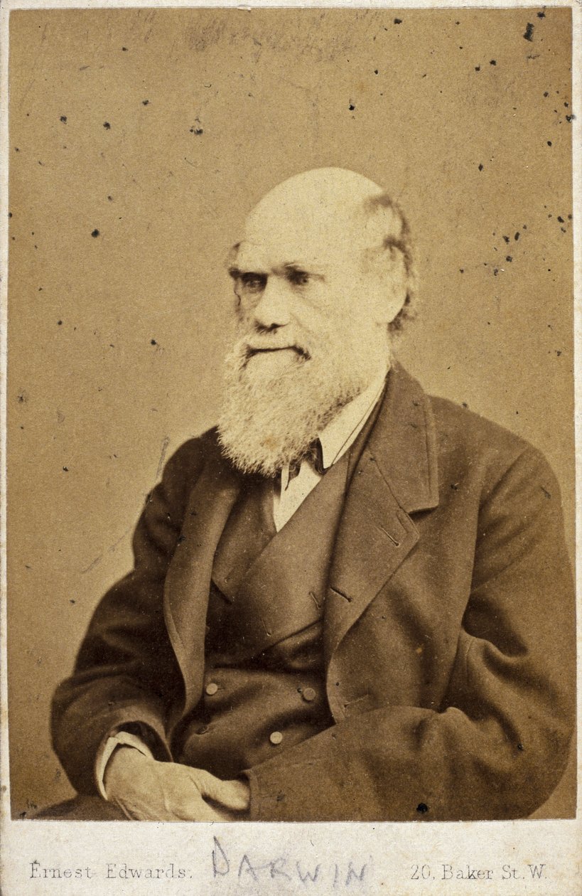 Charles Darwin, engelsk naturforsker, ca. 1870