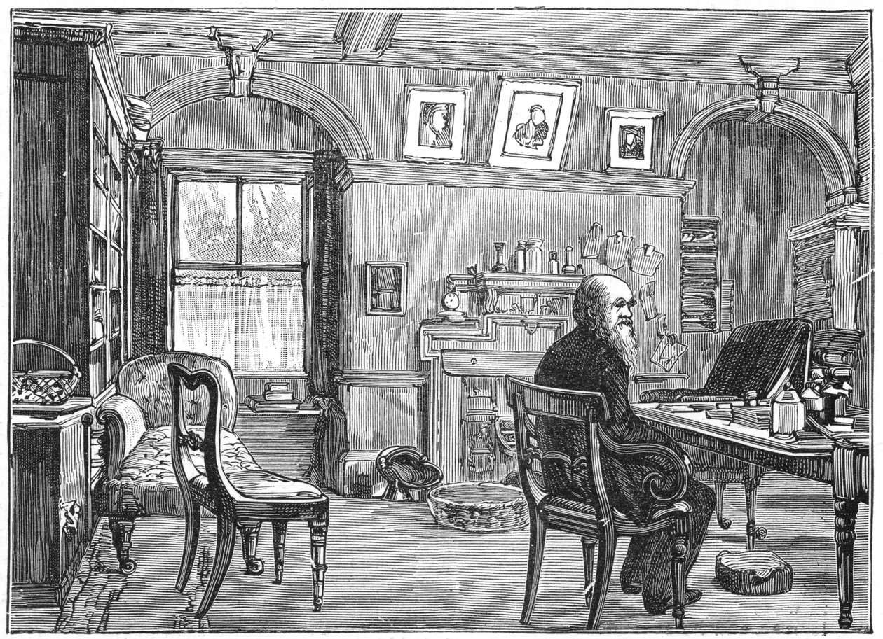 Charles Darwin, engelsk naturforsker, i sit studie, c1870 1887 af Unbekannt