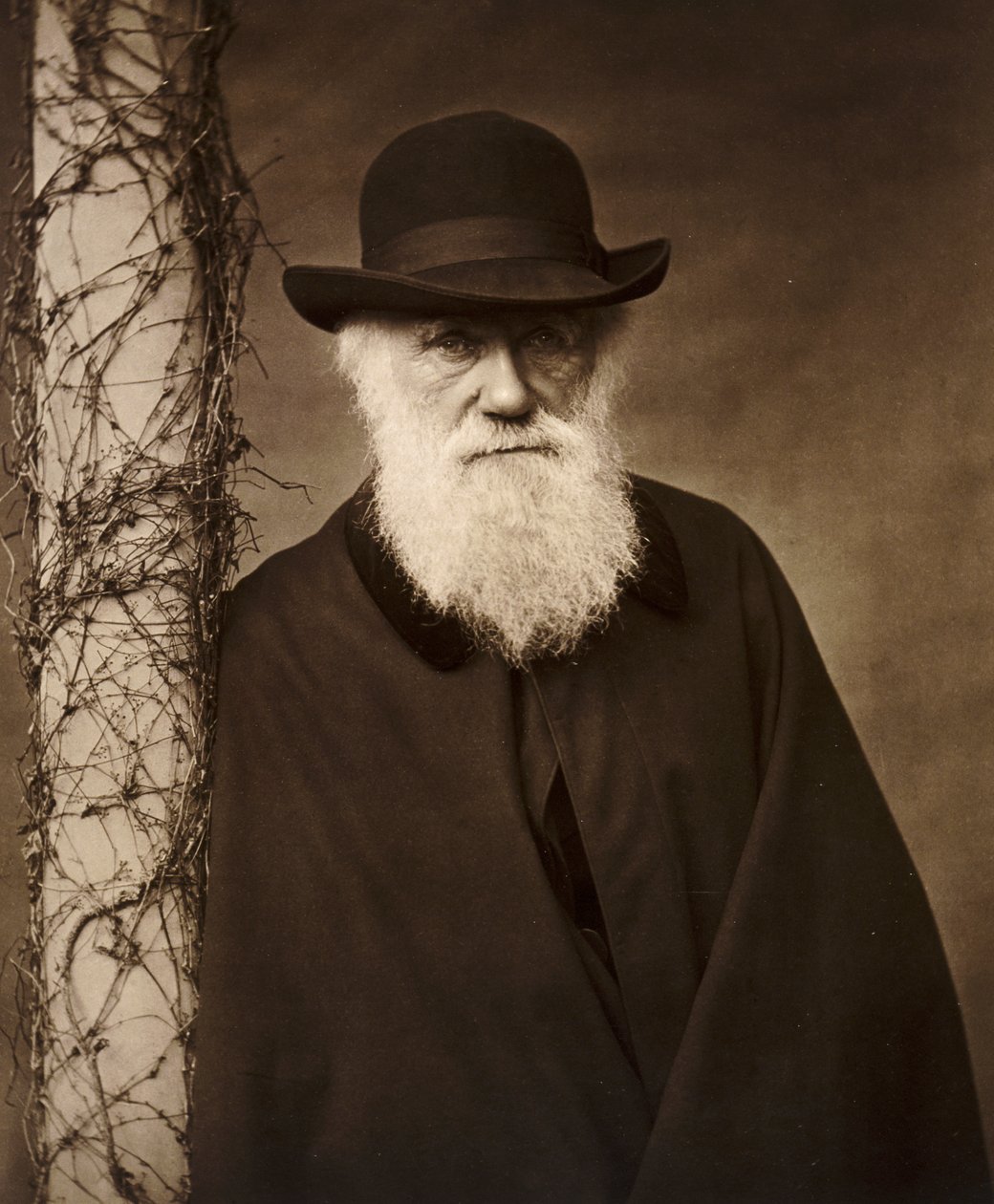 Charles Darwin hjemme hos sig i House, Kent, C1880 af Unbekannt