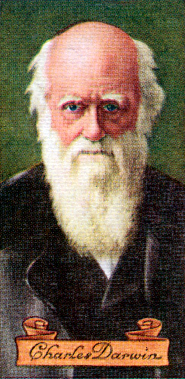 Charles Darwin, taget fra en række cigaretkort, 1935 af Unbekannt