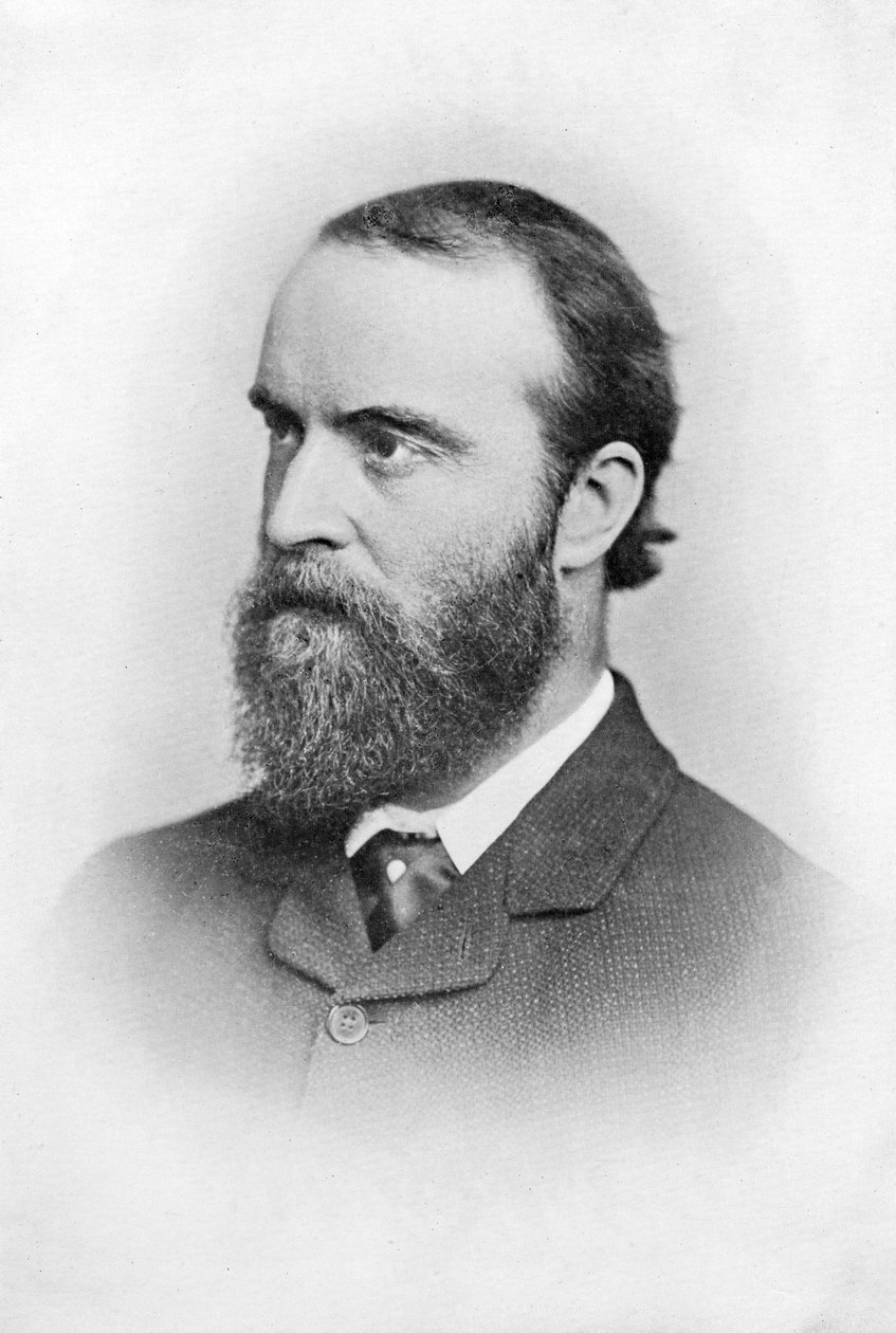 Charles Stuart Parnell, irsk politiker fra det 19. århundrede, c1874-1891 af Unbekannt