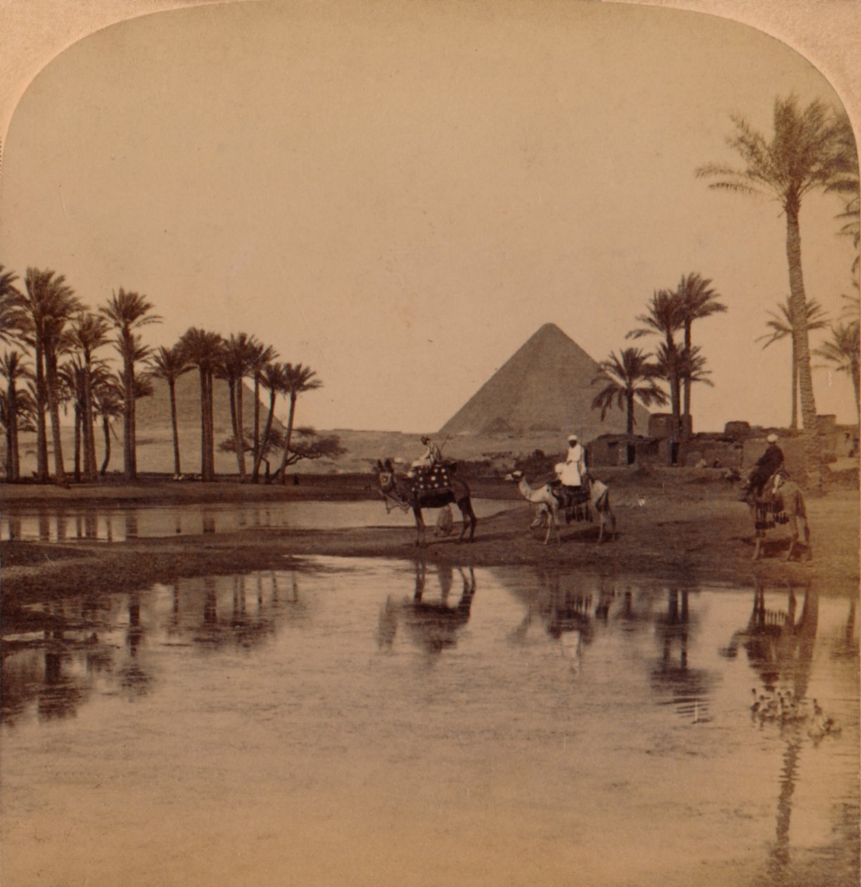 Cheops fra Nilens frugtbare Dal, Egypten, 1896 af Unbekannt