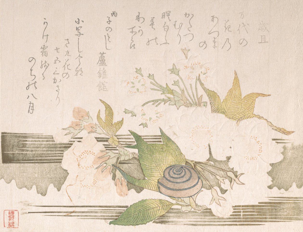 Kirsebærblomster og en snegl, 1816. af Unbekannt