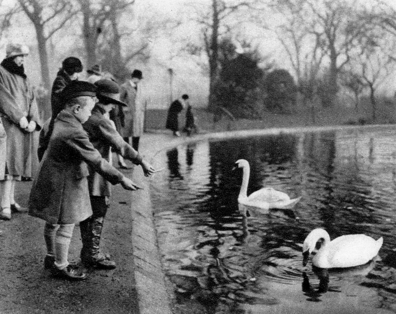 Børn fodrer svanerne på Serpentine, London, 1926-1927 af Unbekannt