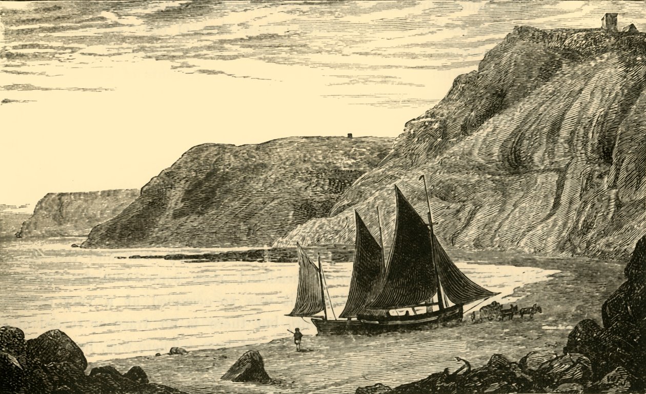 Cliffs nær Whitby, 1898. af Unbekannt