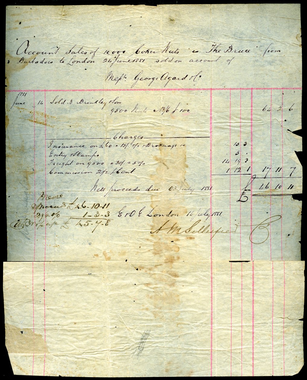 Salgskvittering for kokosnød, Barbados til London, 1881 af Unbekannt