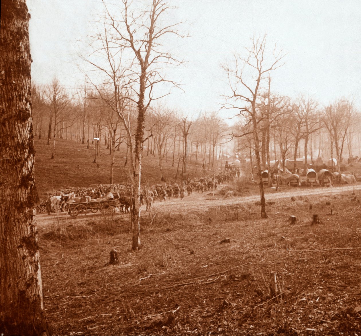 Søjle af tropper, Genicourt, Nordfrankrig, c1914-c1918 af Unbekannt