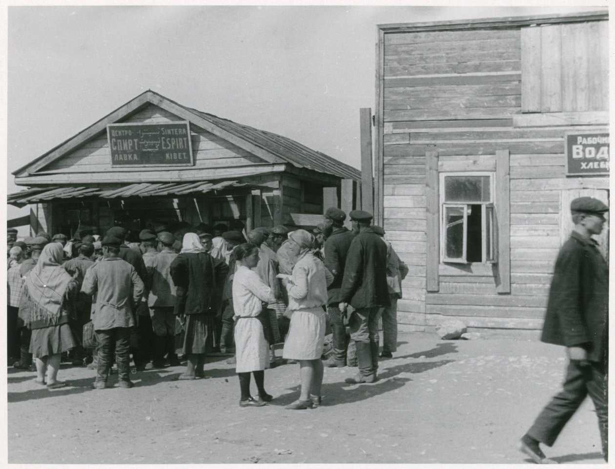 Kommunistisk kollektivisering af landbruget, USSR, begyndelsen af 1930