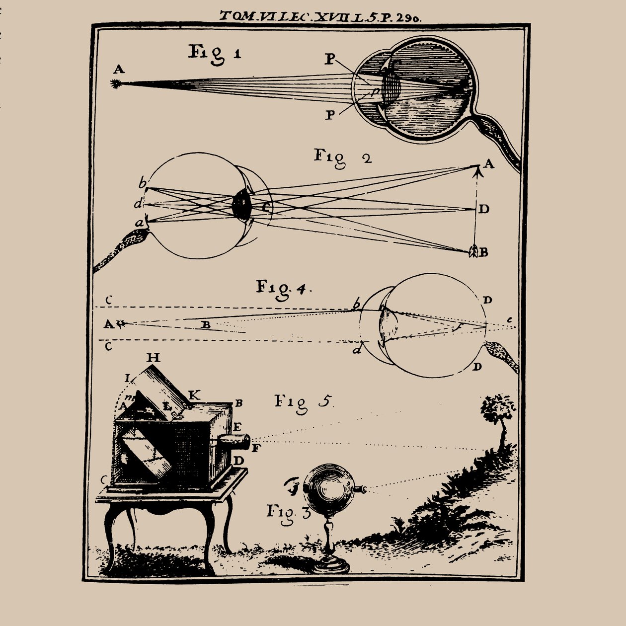 Sammenlignende skildring af det menneskelige øje og camera obscura, 1700-tallet. af Unbekannt