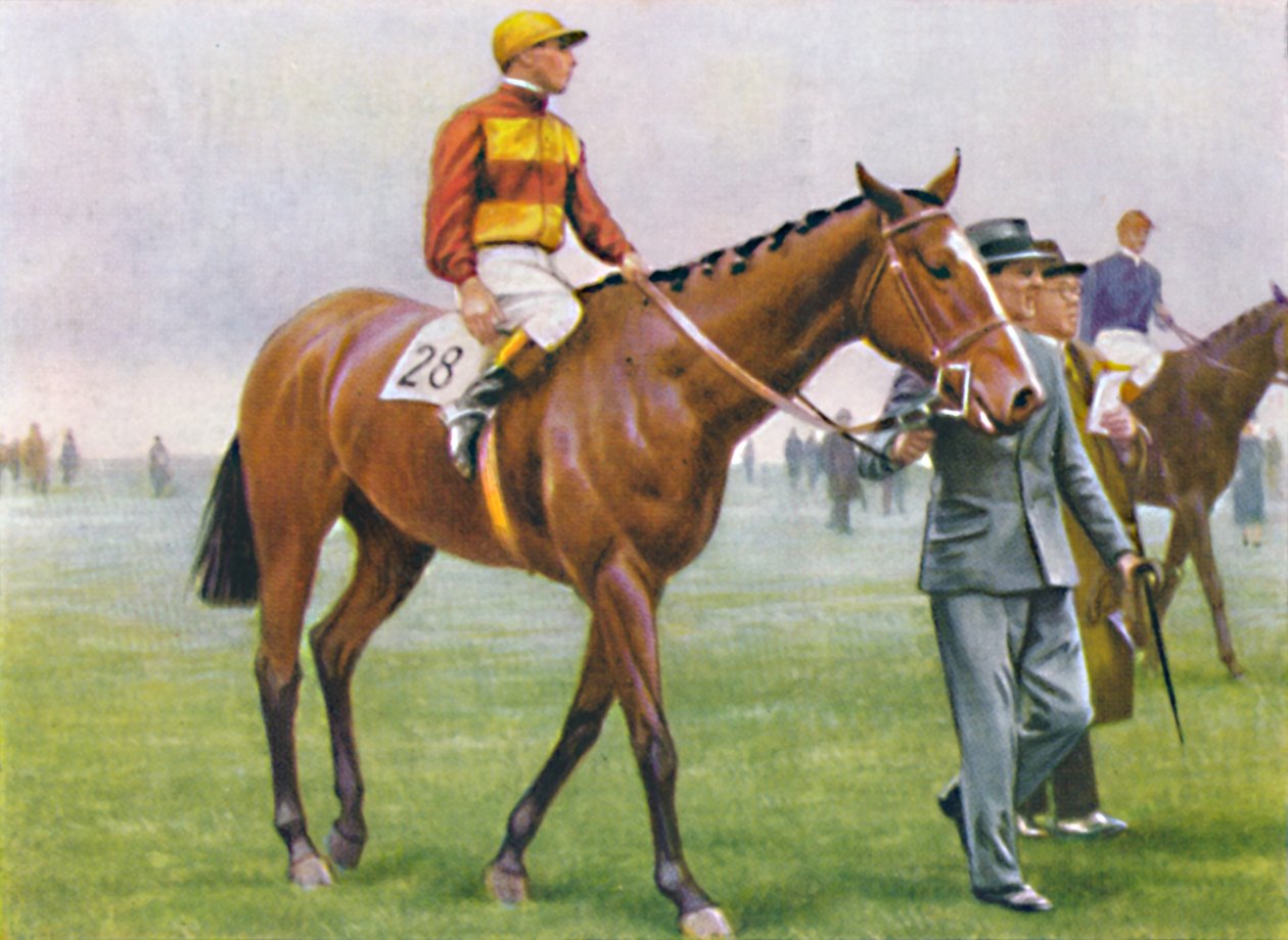 Brace, Jockey: A. Tucker, 1939 af Unbekannt