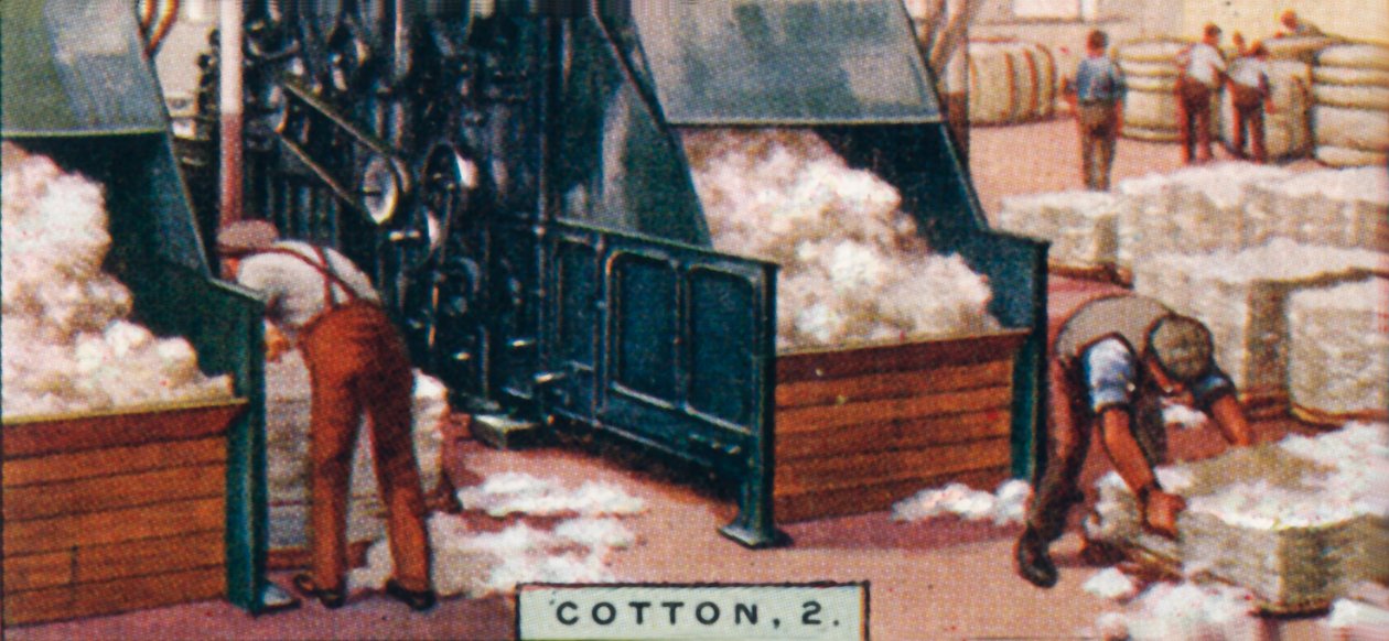 Cotton, 2. - Ophugning af baller i Mixing Room, England, 1928 af Unbekannt