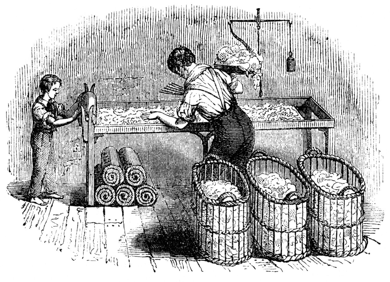 Bomuldsfremstilling, c1845 af Unbekannt