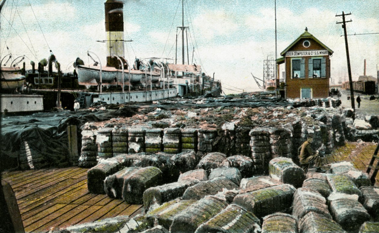 Bomuldshavne, New Orleans, Louisiana, USA, begyndelsen af det 20. århundrede af Unbekannt