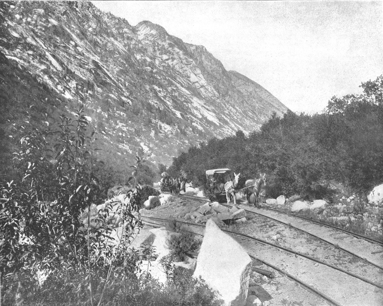 Cottonwood Canyon, Utah, USA, c1900. af Unbekannt