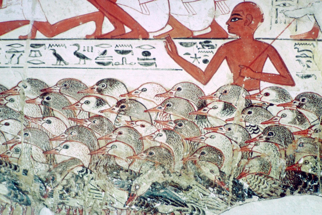 At tælle gæssene: fragment af vægmaleri fra Nebamuns grav, Theben, Egypten, c1350 f.Kr. af Unbekannt