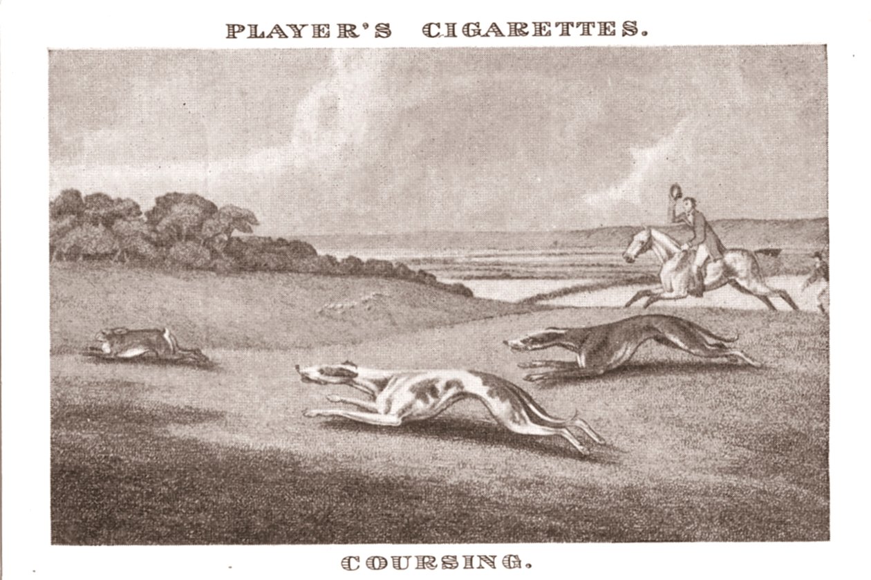 Coursing-11, 1924. af Unbekannt