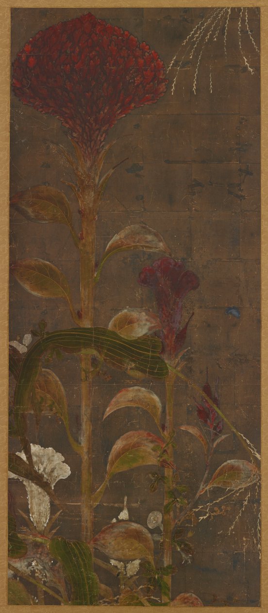 Coxcombs, majs og morgenherligheder, Momoyama-perioden, 1568-1615. af Unbekannt