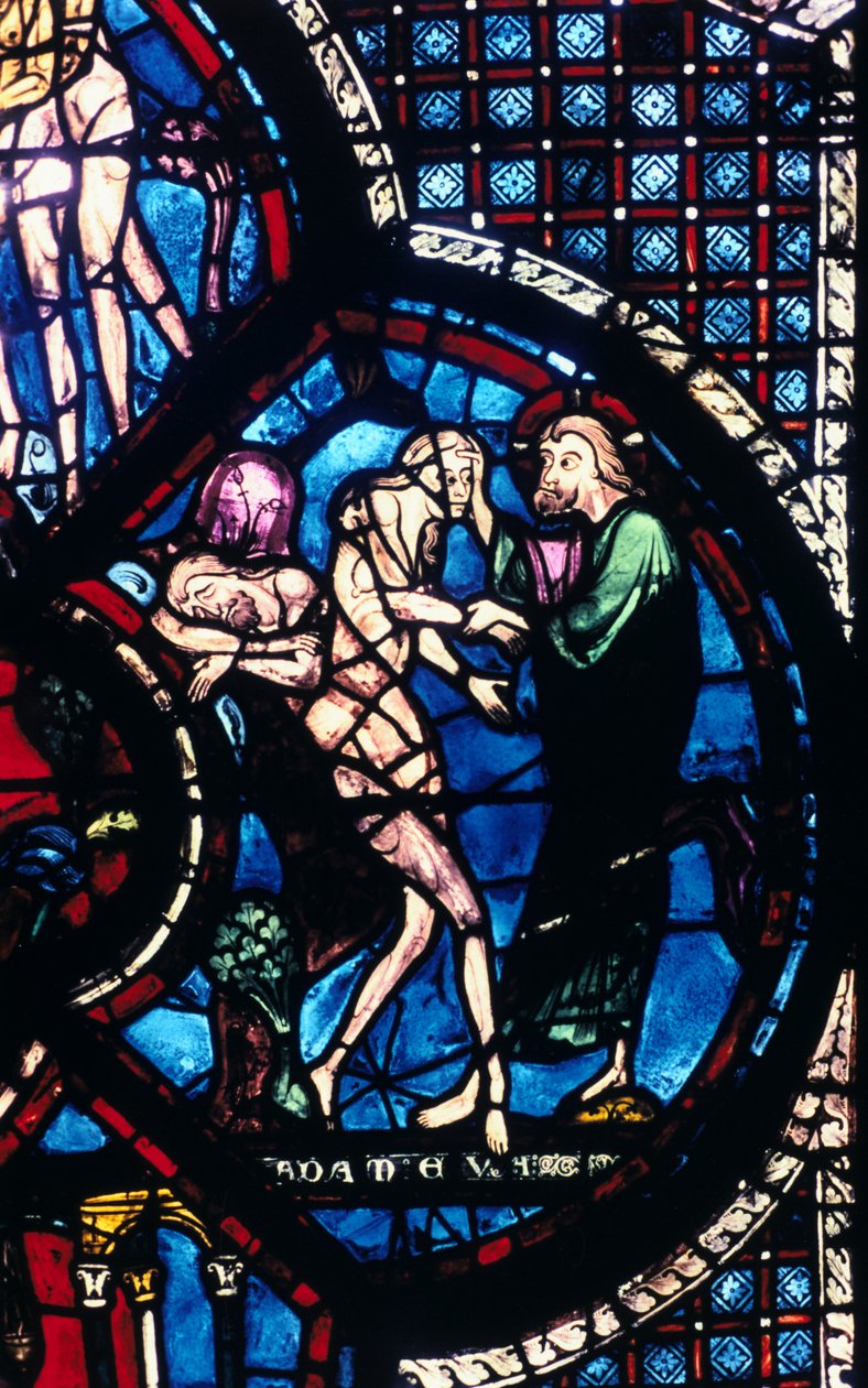 Skabelsen af Eva, farvet glas, Chartres Cathedral, Frankrig, 1205-1215 af Unbekannt