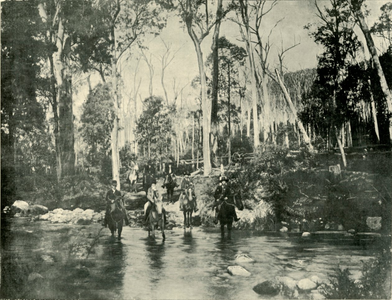 Krydser floden, nær Buffalo Falls, 1901. af Unbekannt