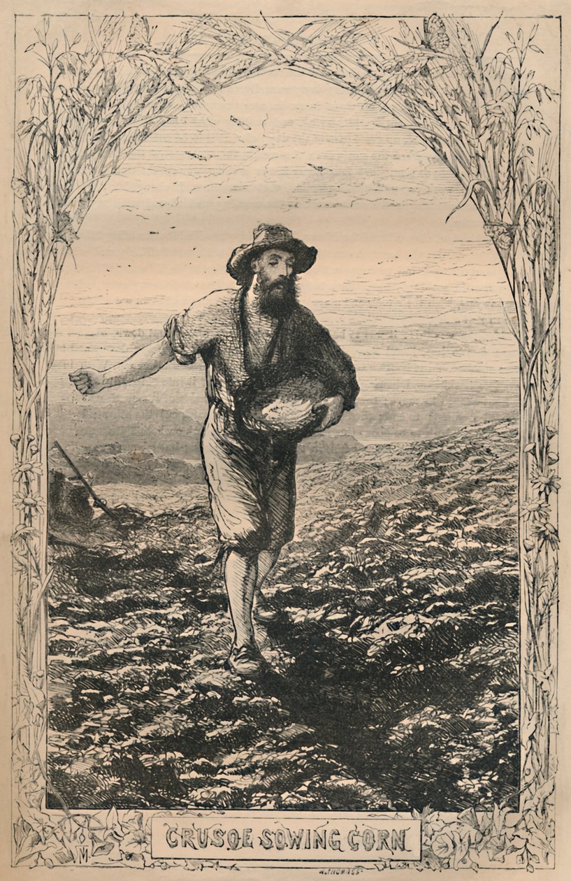 Crusoe såning af majs, c1870 af Unbekannt