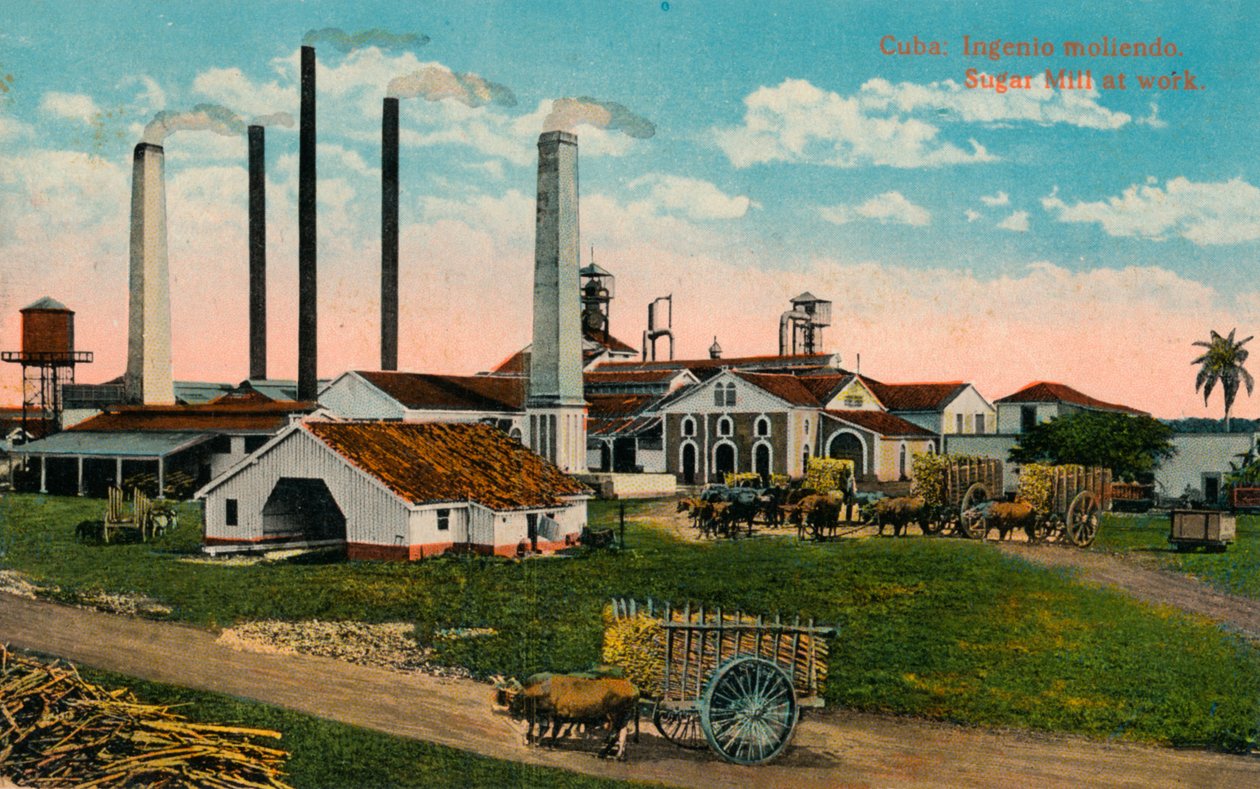 Cuba: Ingenio moliendo. Sukkermølle på arbejde, c1900 af Unbekannt