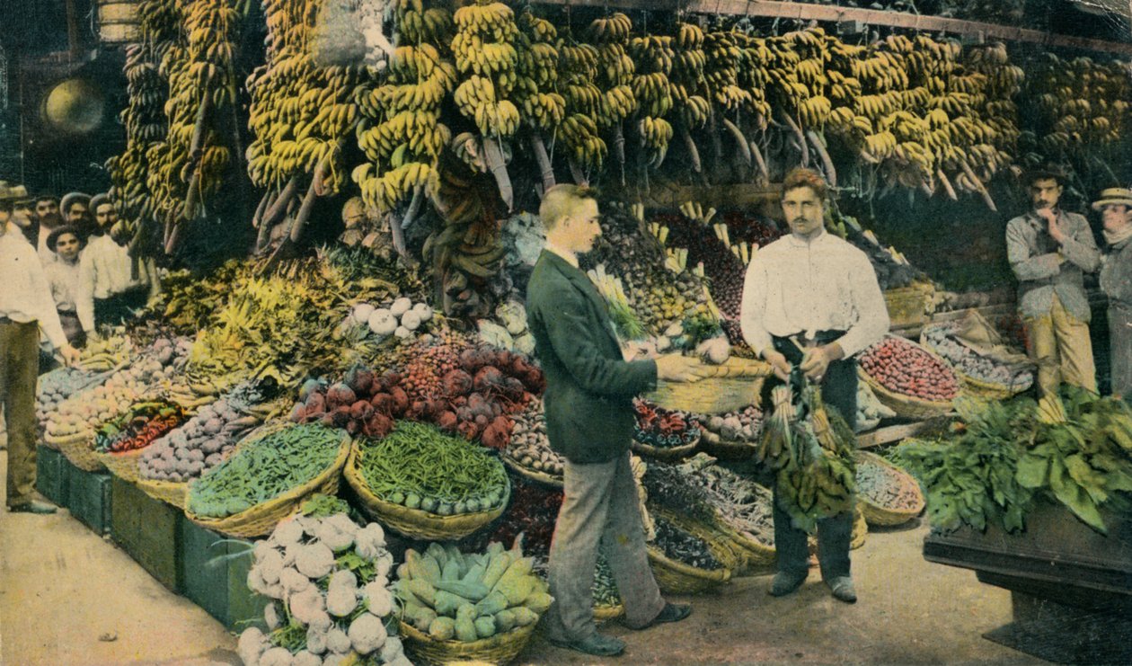 Cubansk frugtbutik, c1910 af Unbekannt