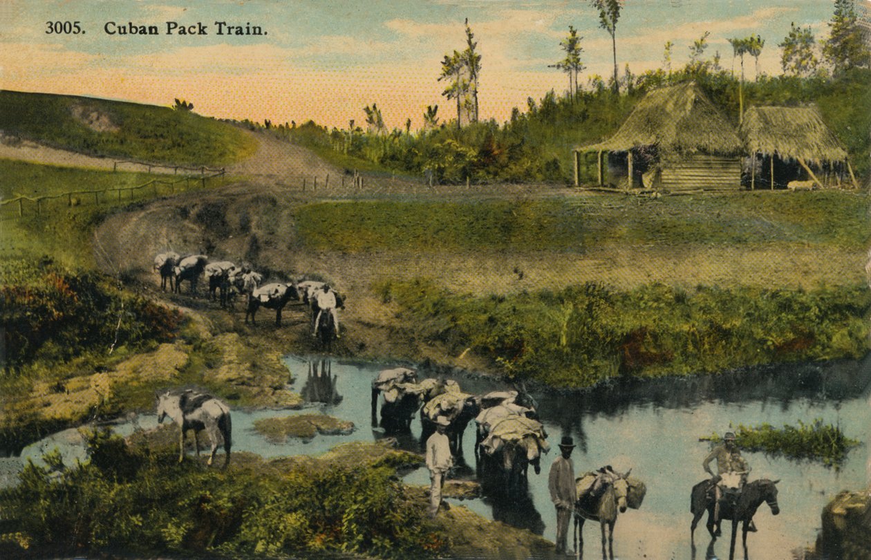 Cuban Pack Train, c1910 af Unbekannt