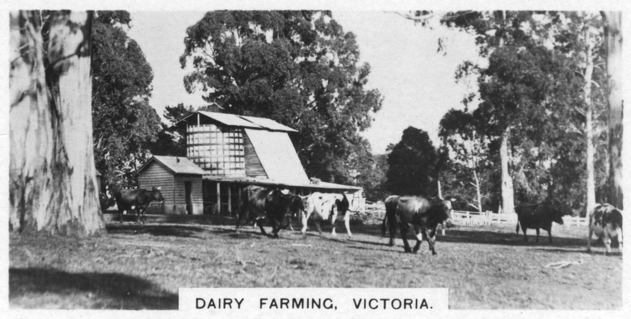 Mejeribrug, Victoria, Australien, 1928 af Unbekannt
