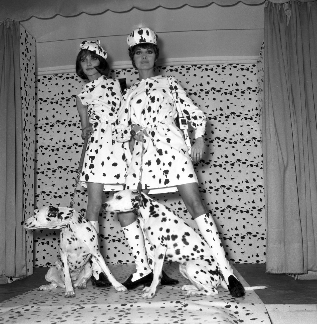 Dalmatisk tilstand af Unbekannt
