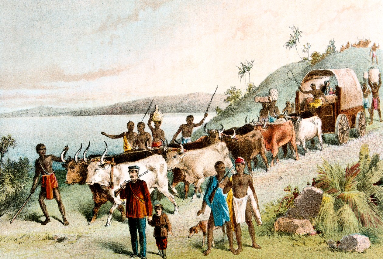 David Livingstone, skotsk missionær og afrikansk opdagelsesrejsende, 1849 c1878 af Unbekannt