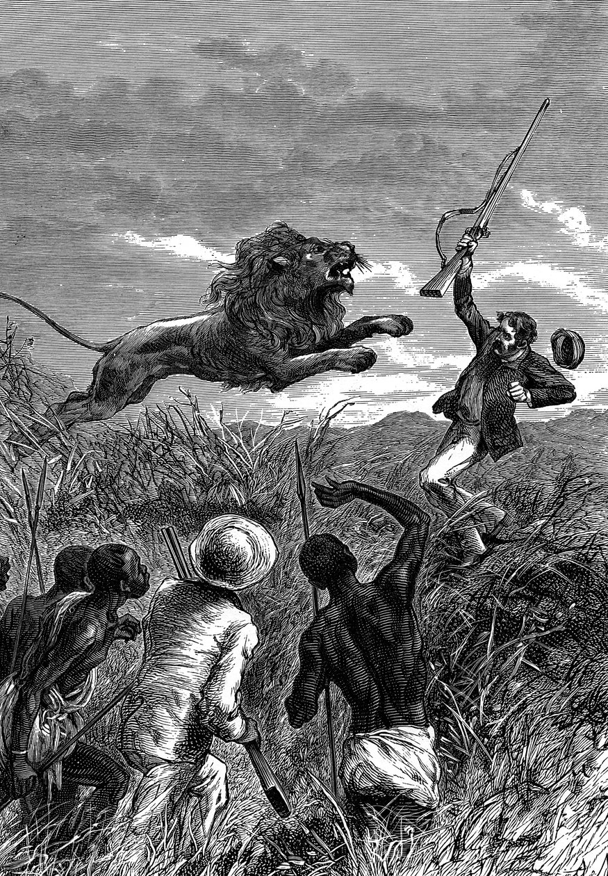 David Livingstone, skotsk missionær og afrikansk opdagelsesrejsende, anklaget af en løve, c1860 af Unbekannt