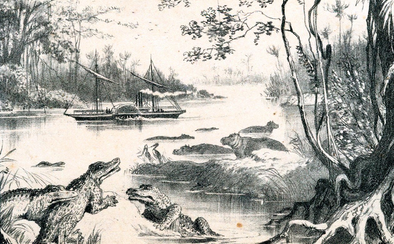 David Livingstone navigerer i Zambezi, Afrika, 1852-1864 c1878 af Unbekannt