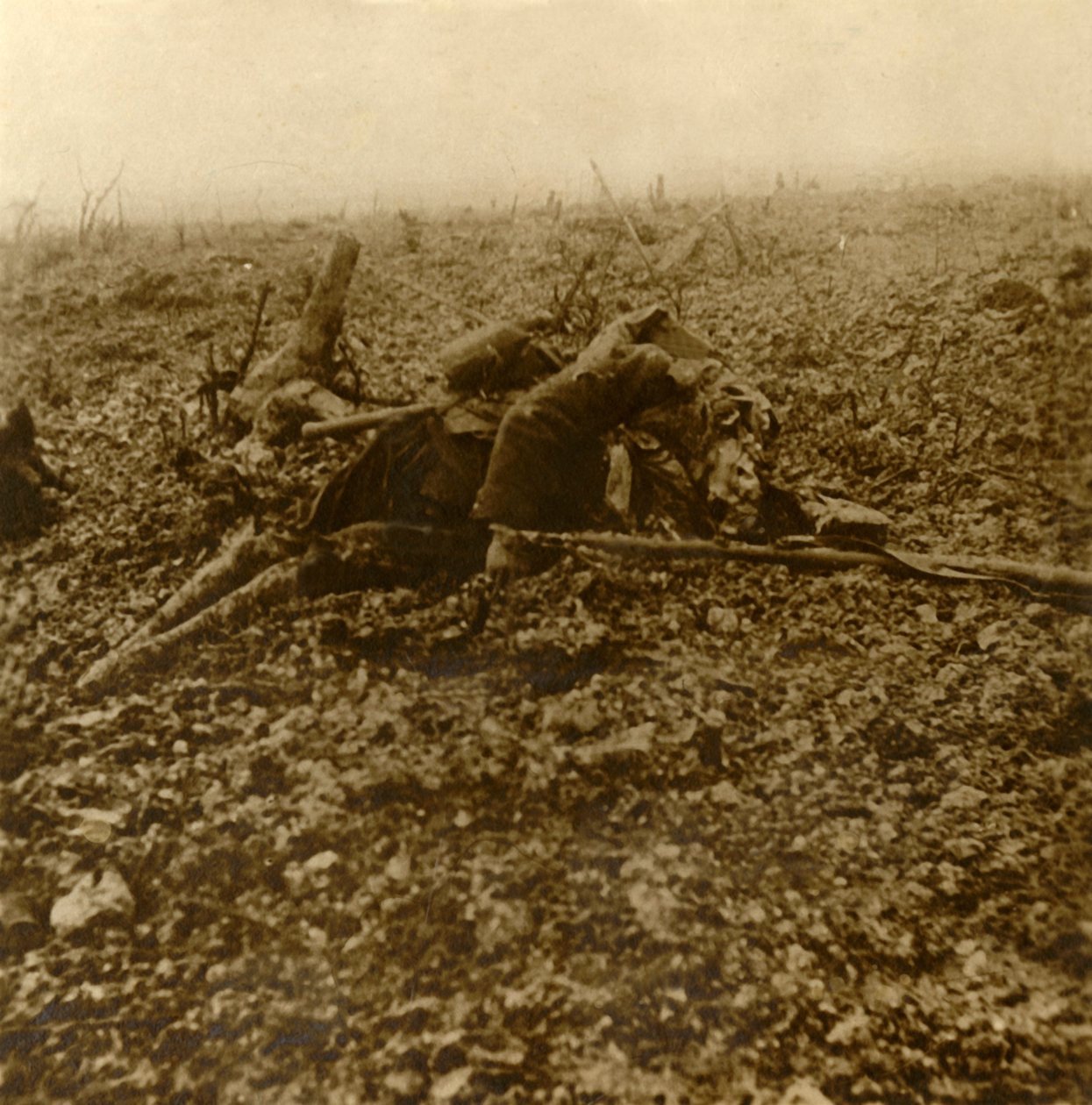Død soldat på Hill 304, efter slaget ved Verdun, det nordlige Frankrig, 1916 af Unbekannt