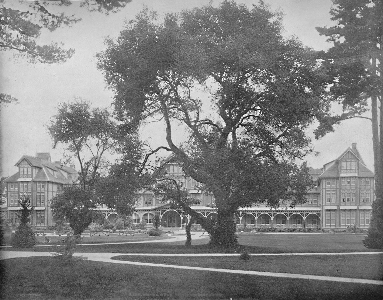 Del Monte, Monterey, Californien, c1897. af Unbekannt