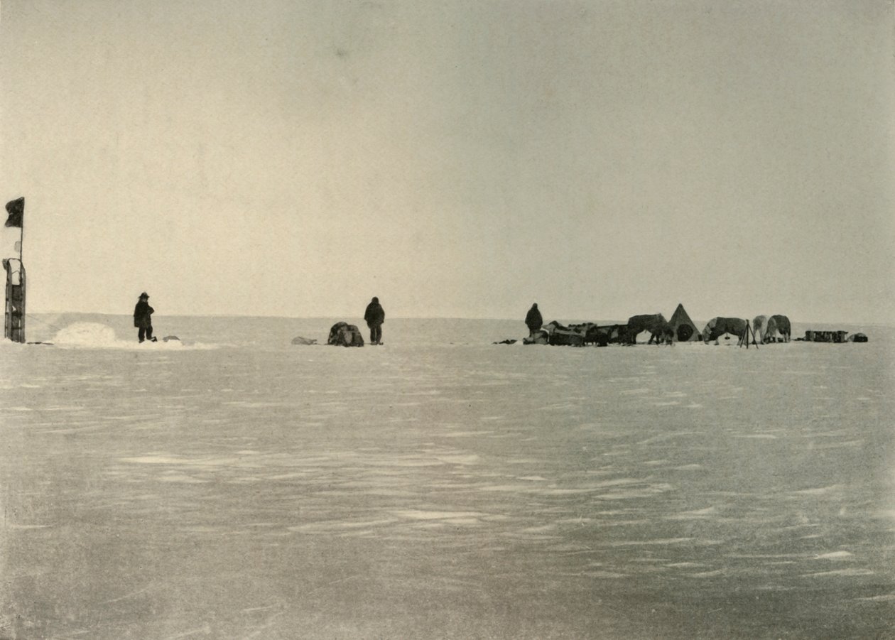Depot A, anlagt i foråret, 1908, 1909. af Unbekannt