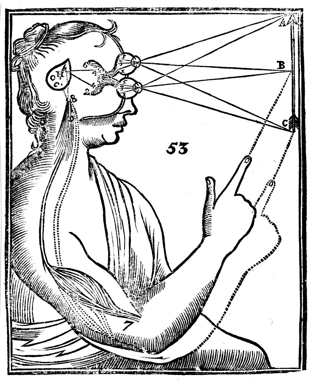 Descartes idé om vision, 1692 af Unbekannt