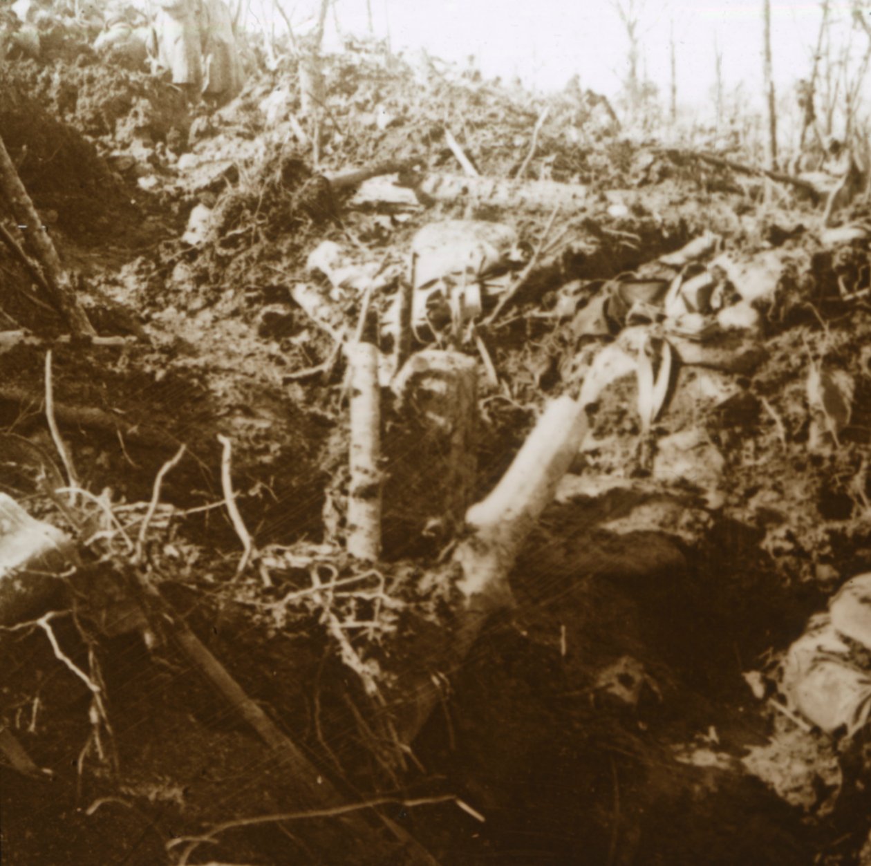 Ødelagt beskyttelsesrum, Les Éparges, Nordfrankrig, 1915. af Unbekannt