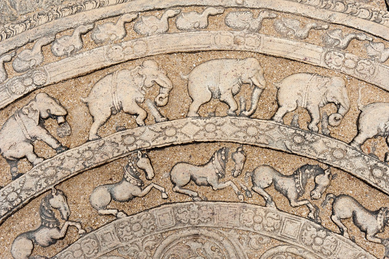 Detalje; historisk sten-relief; månesten med dyrerepræsentationer; elefanter; heste; sten på en trappe; kong Parakrama Bahu I