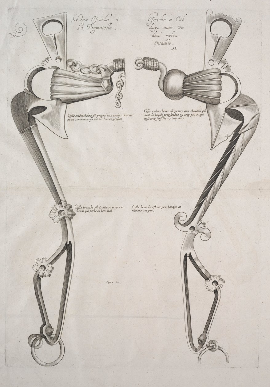 Diagram for Hestebid, 1700-tallet. af Unbekannt